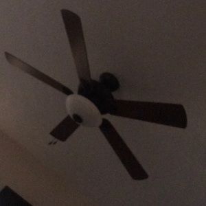 Meet your Posher, Betty